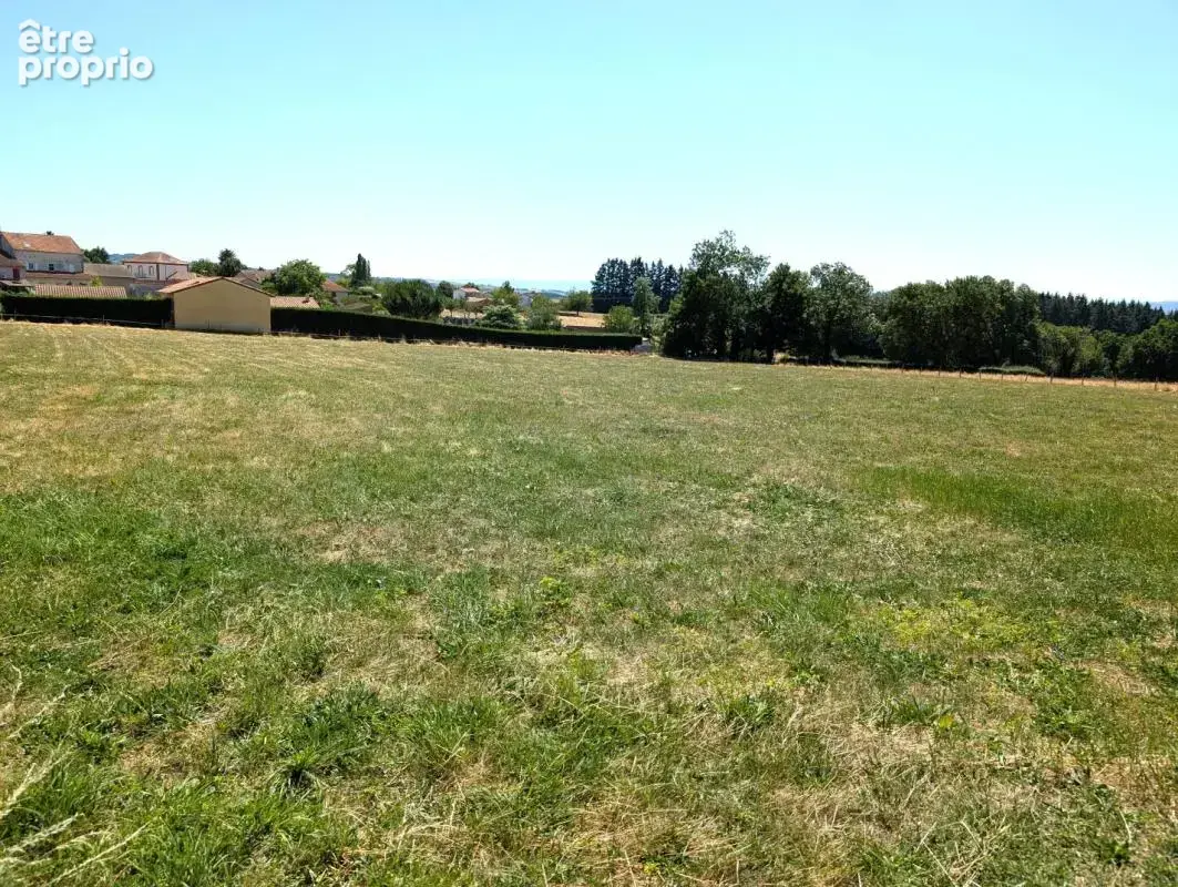 Terrain 1000 m² à Pradines  - photo 4