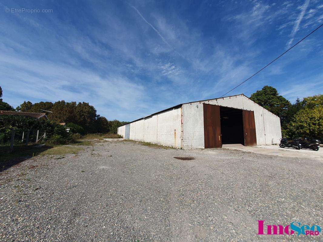 Commerce à AMBARES-ET-LAGRAVE