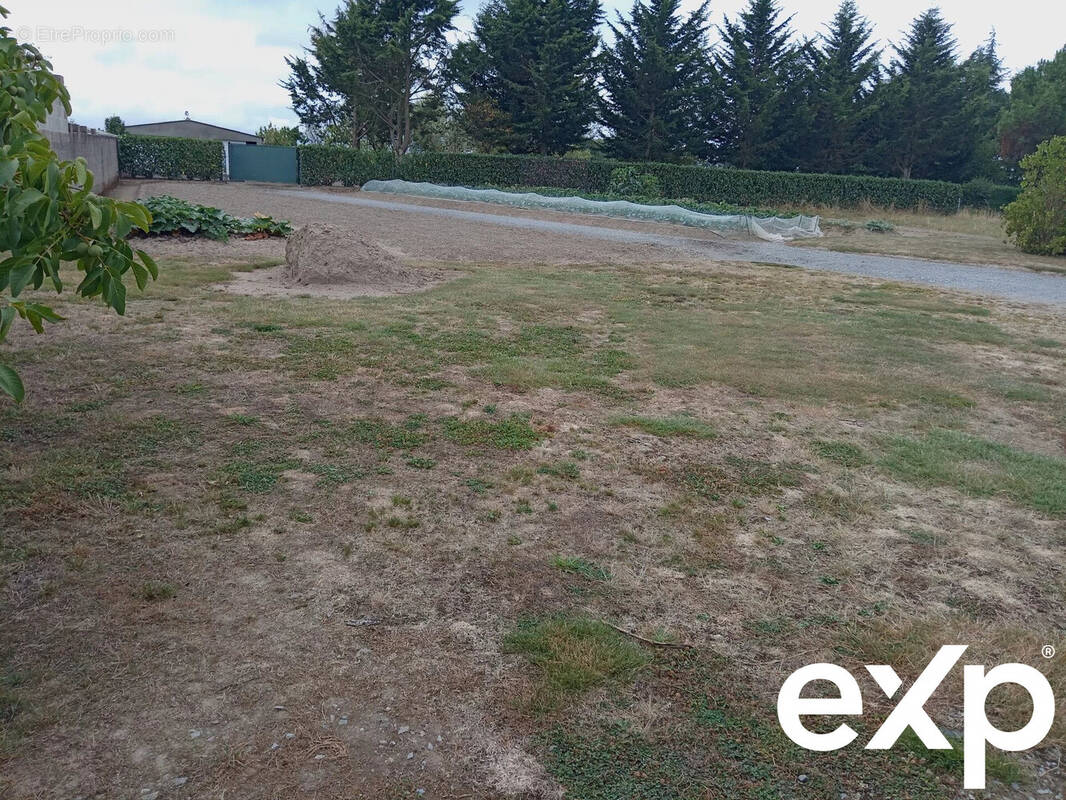 Terrain à MESANGER