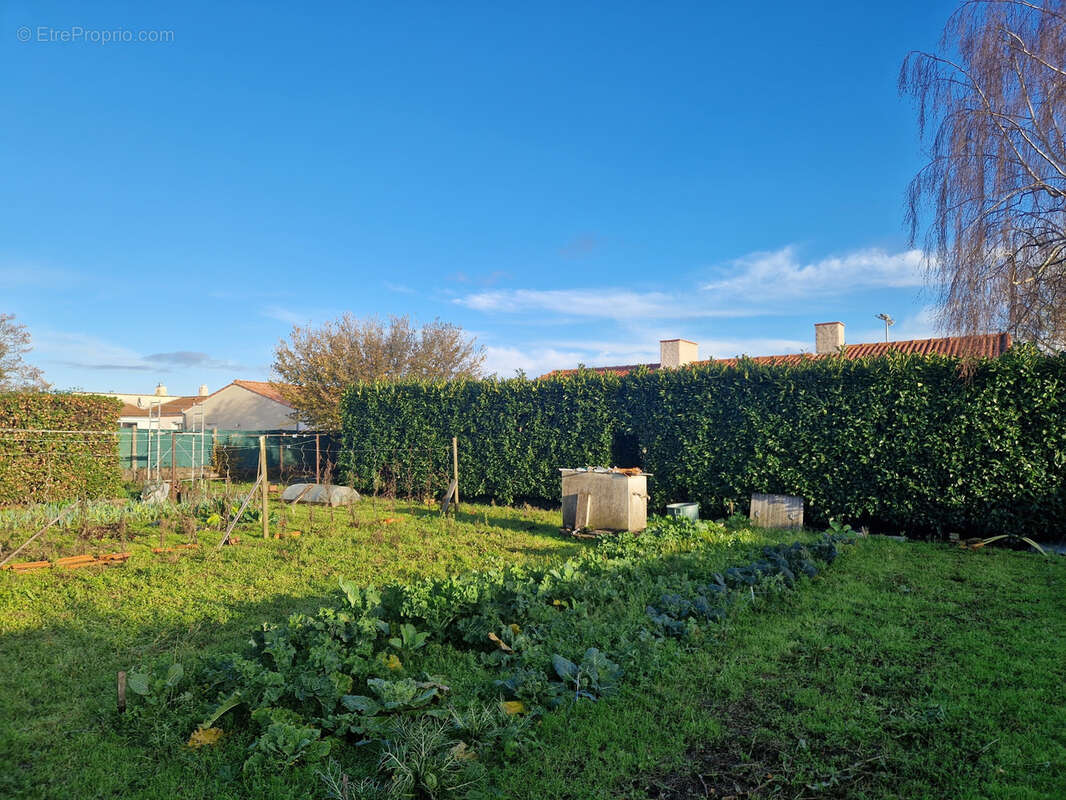 Terrain à SAINT-PHILBERT-DE-BOUAINE