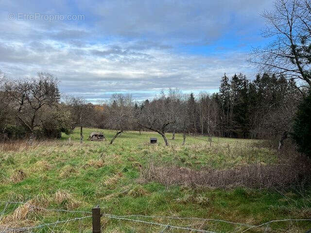 Terrain à PETITMONT