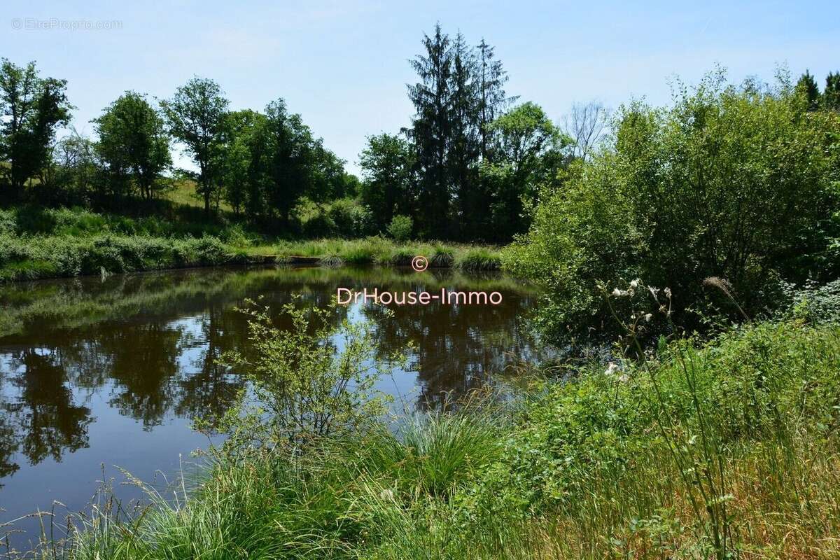 Maison 197 m² à Brigueuil  - photo 31