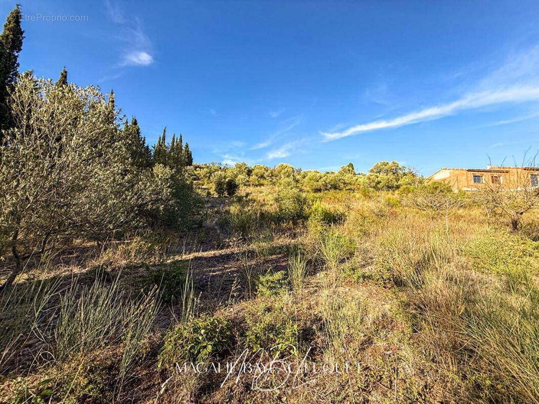 Terrain à LIMOUX
