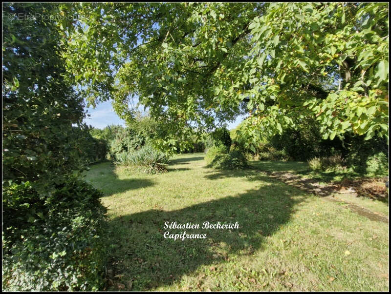 Maison à SARREGUEMINES