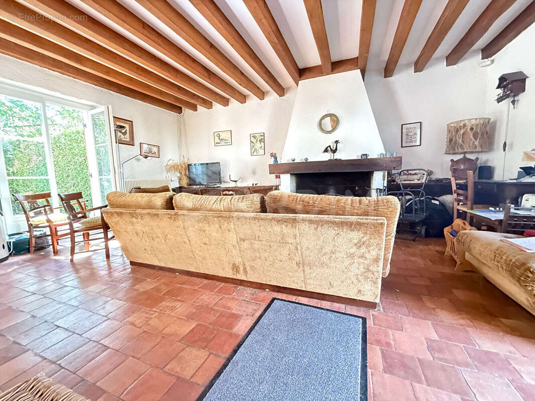 Beaulieu-sur-Loire  Ensemble immobilier de caractère, un bien rare ! - photo 2