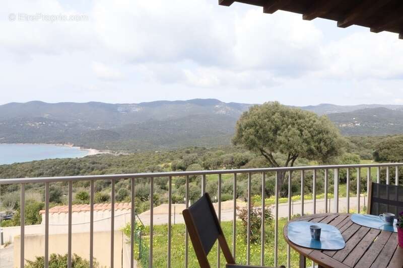 Exclusivité : superbe T2 vue panoramique mer et montagne en corse-du-Sud à SERRA DI FERRO (20) - photo 20