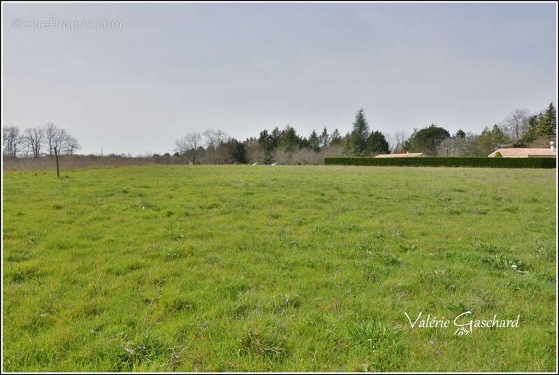 Maison à MOULIN-NEUF