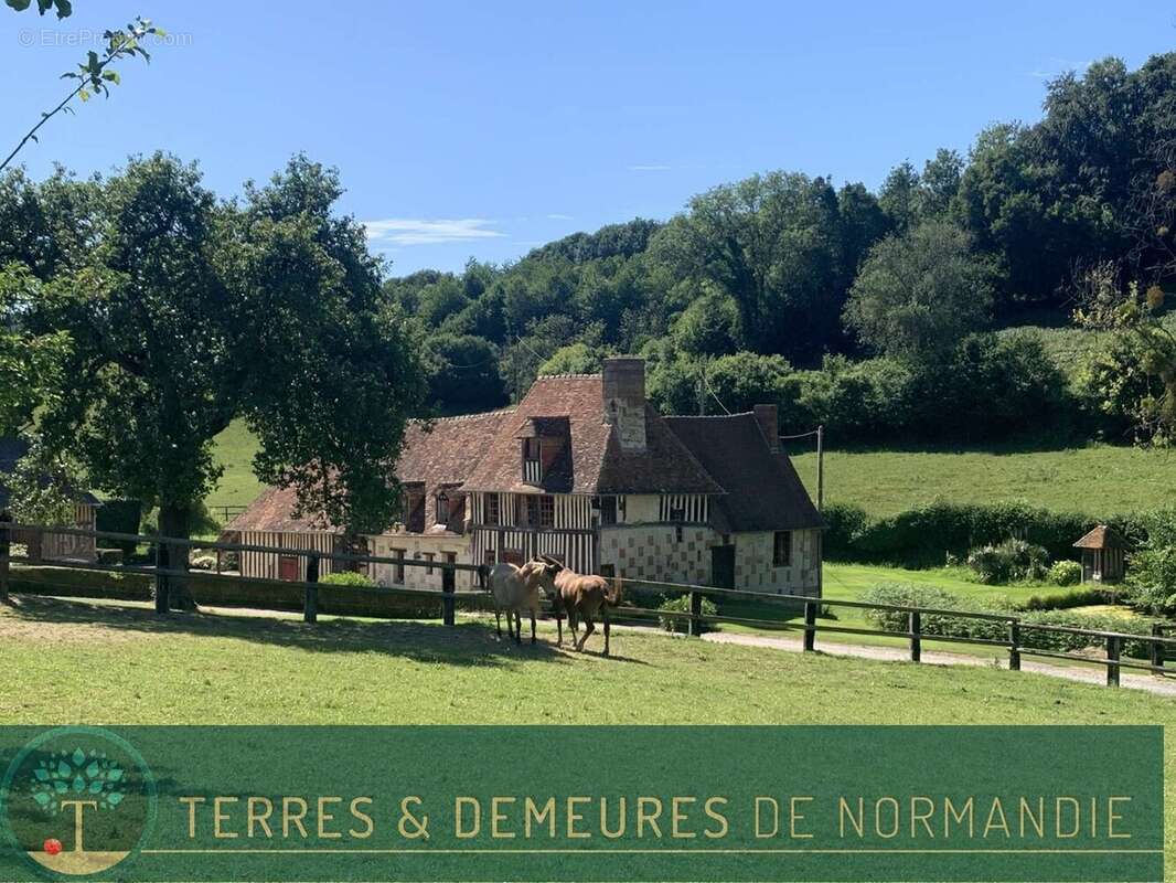 A vendre dans le PAYS D'AUGE du CALVADOS, secteur LISIEUX, haras d'élevage de chevaux sur une surface de 48 ha. - photo 5