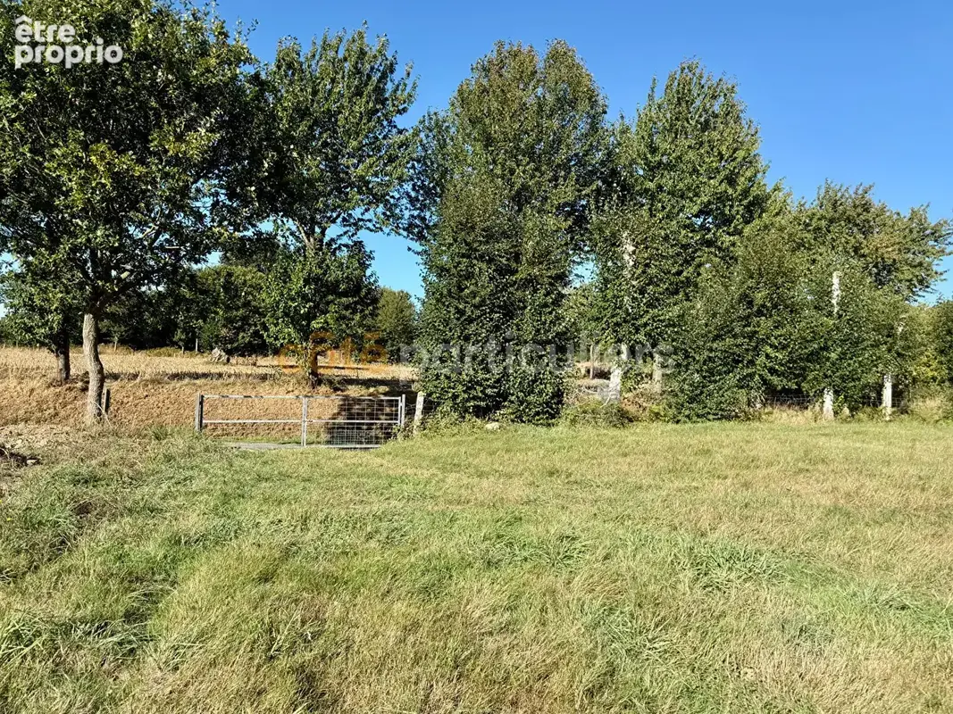 Maison en pierre Saint James 111.48 m2, 3 chambres, terrain 6040m2 - photo 16