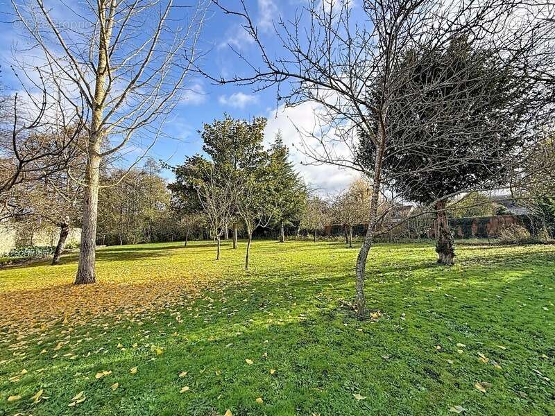 Terrain à LA MEMBROLLE-SUR-CHOISILLE