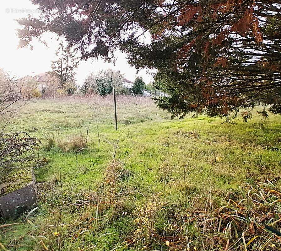 Terrain à CROUTELLE