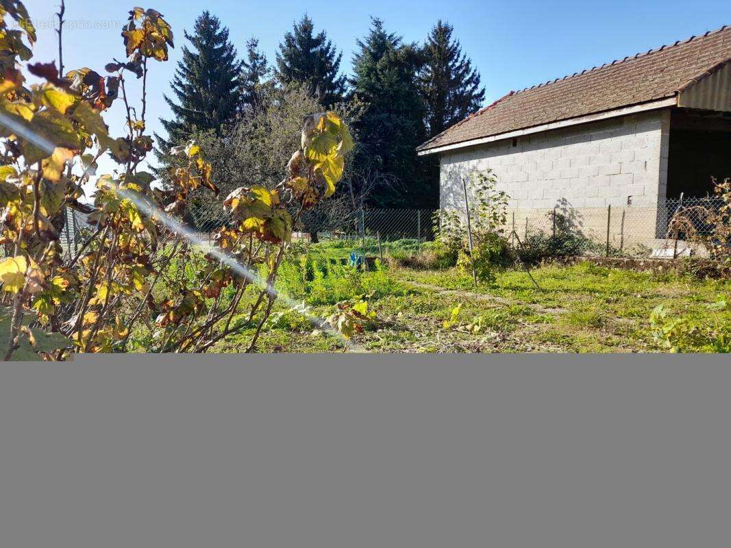 Maison à BILIEU