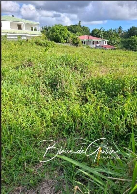 Terrain à SAINTE-ANNE