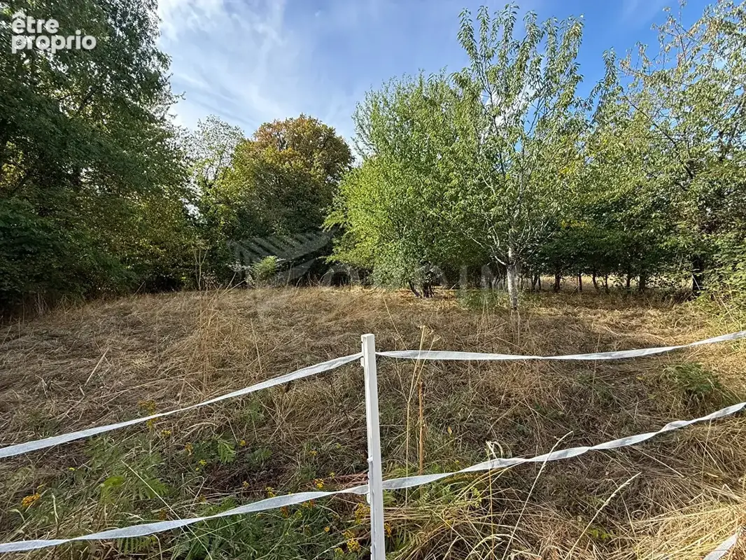 Maison ancienne avec dépendances sur 3 073 m² - Hameau de Treigny (89520) - photo 11