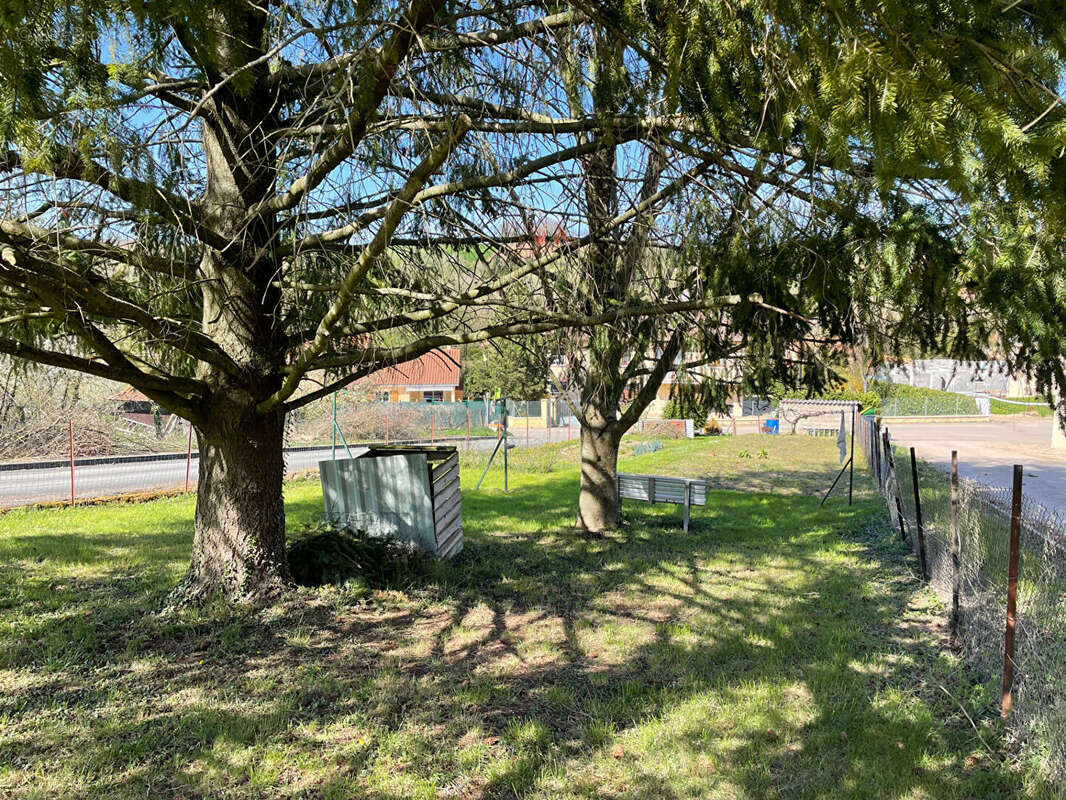 Terrain à POUILLY-LE-MONIAL