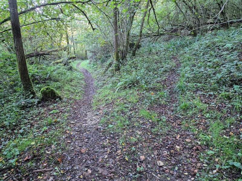 Terrain à SALIES-DE-BEARN
