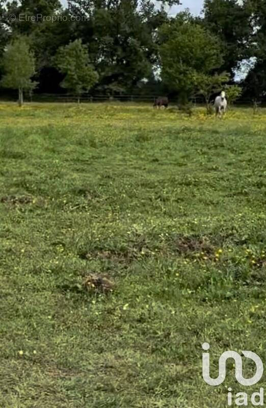 Photo 1 - Terrain à AMBARES-ET-LAGRAVE