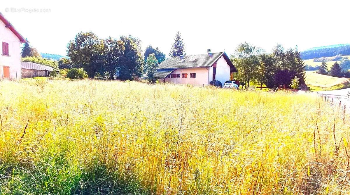 Terrain à CORRENCON-EN-VERCORS