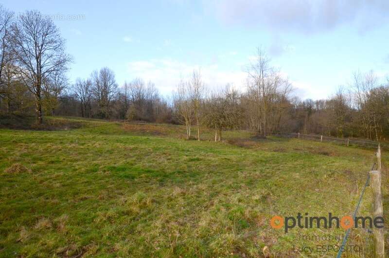  Rare à la vente – Propriété équestre en pierres  14 hectares de terrain - photo 29