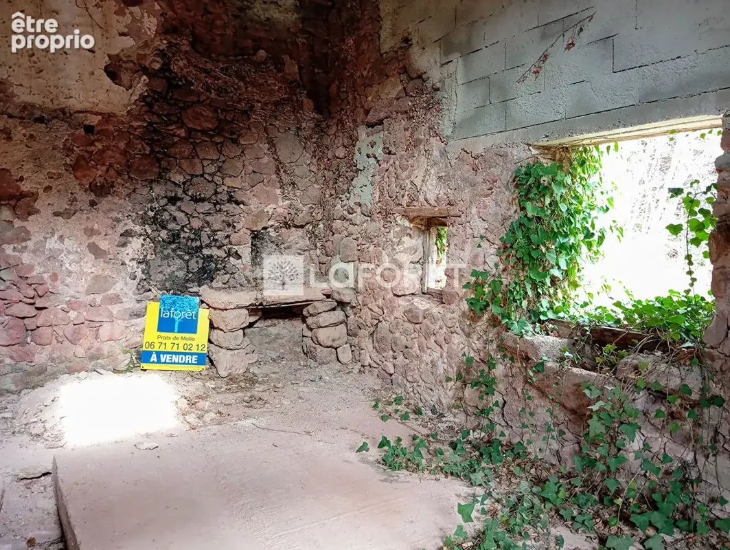 Ruine 76m²/4110m² - Lamanère - photo 8