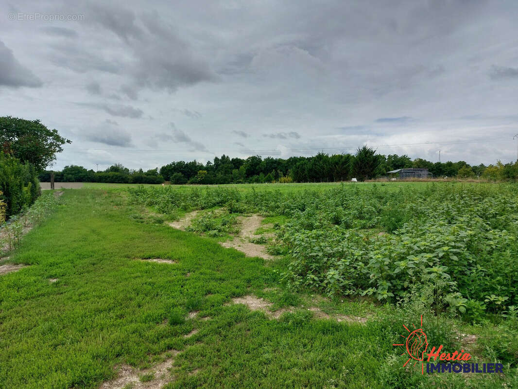 Terrain 600 m² à Saint-Hilaire-Au-Temple  - photo 5