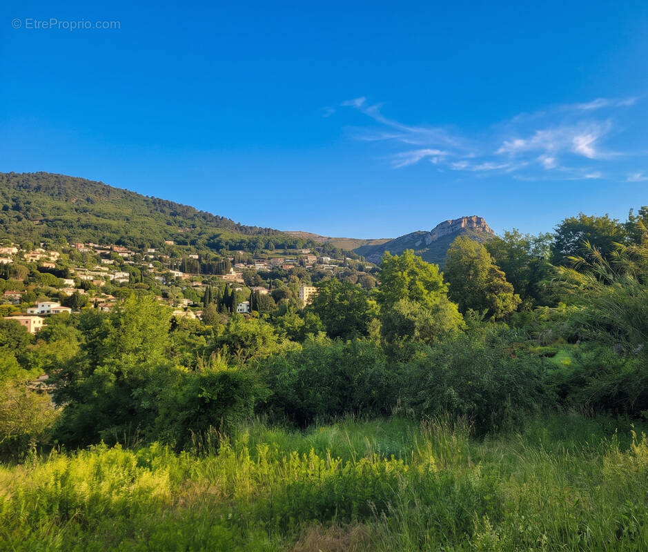 Photo 1 - Terrain à VENCE