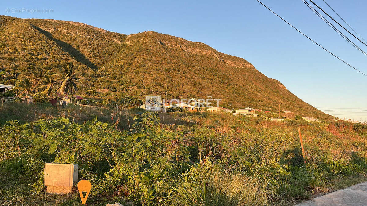 A La Désirade - Un terrain plat de 1240 m²  Une véritable pépite - photo 3