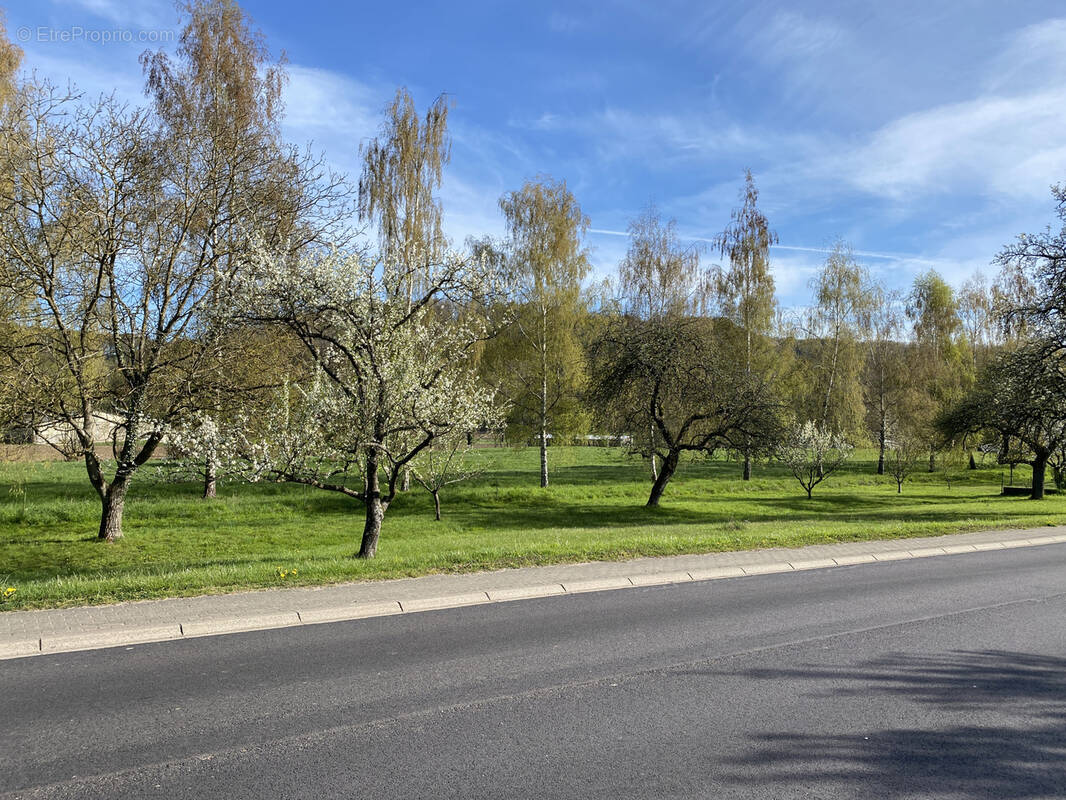 Terrain à HARGARTEN-AUX-MINES