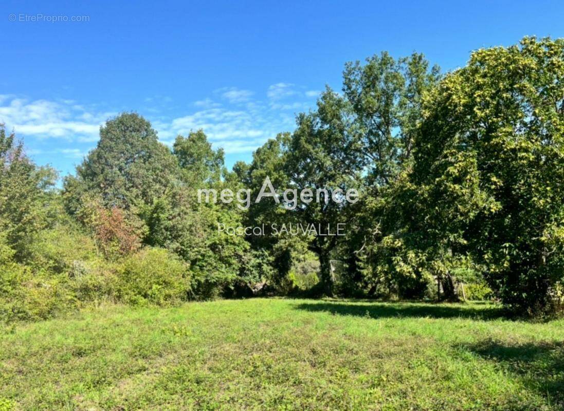 Terrain à SAINT-ASTIER