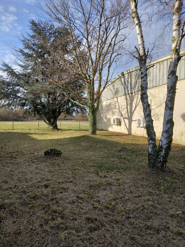 Commerce à BARCELONNE