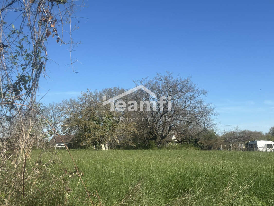Terrain 4190 m² à Venesmes  - photo 3