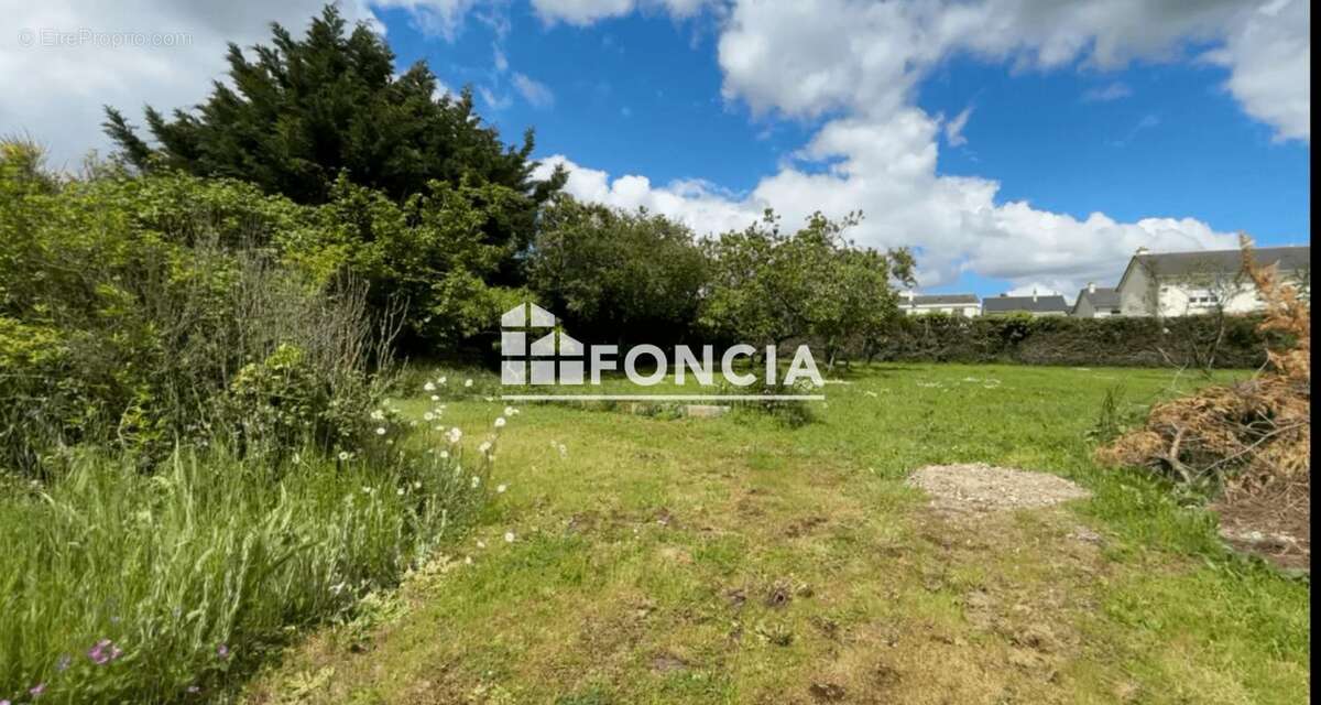 Terrain à CHAMPTOCE-SUR-LOIRE