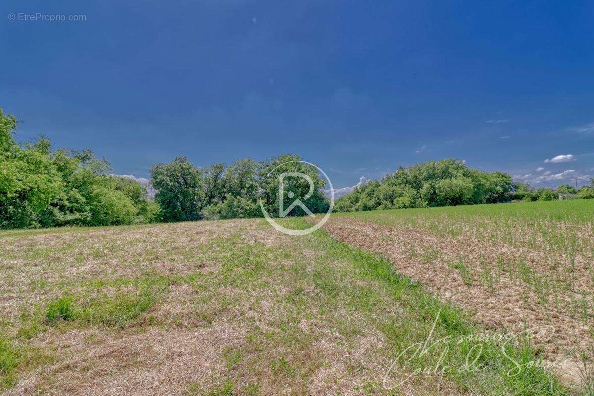 Terrain à BEAUMONT-DE-LOMAGNE