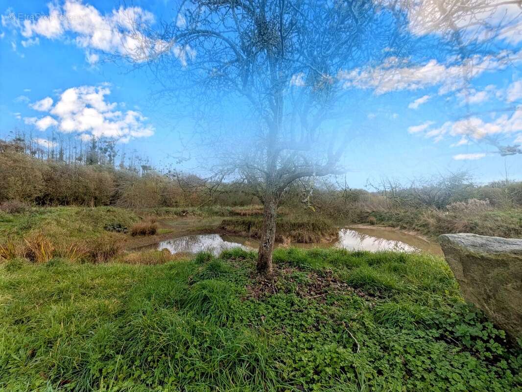 Maison à HENANBIHEN