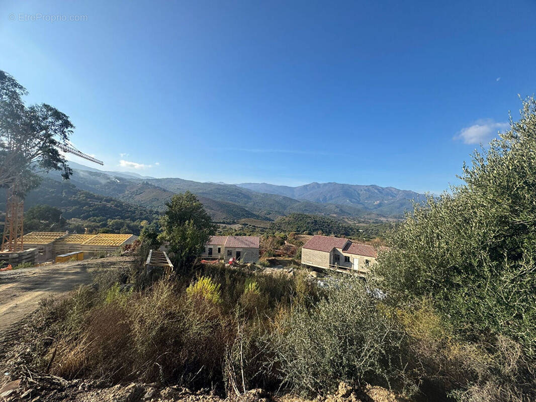 Appartement à OLMETA-DI-TUDA