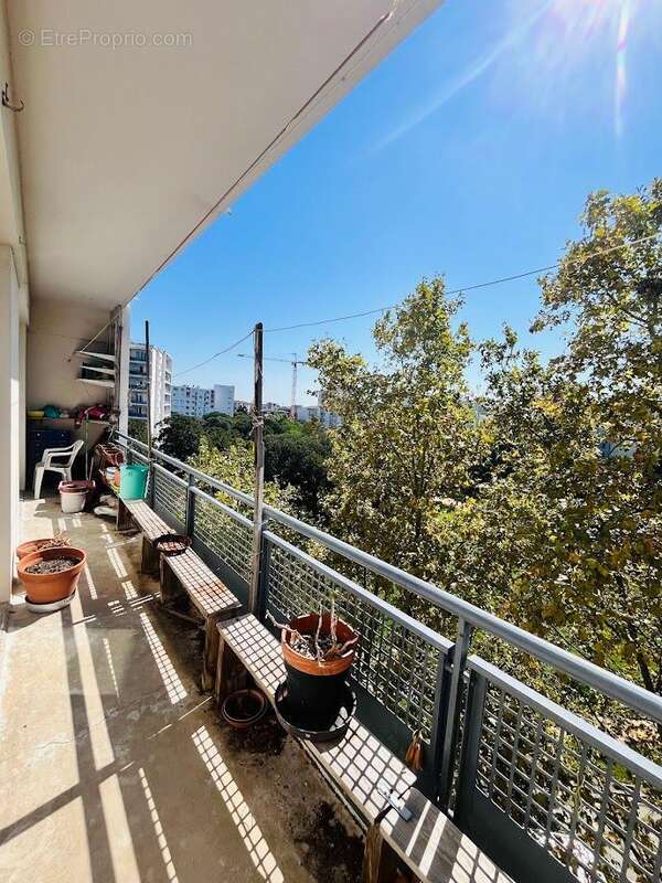   - Appartement à TOULOUSE