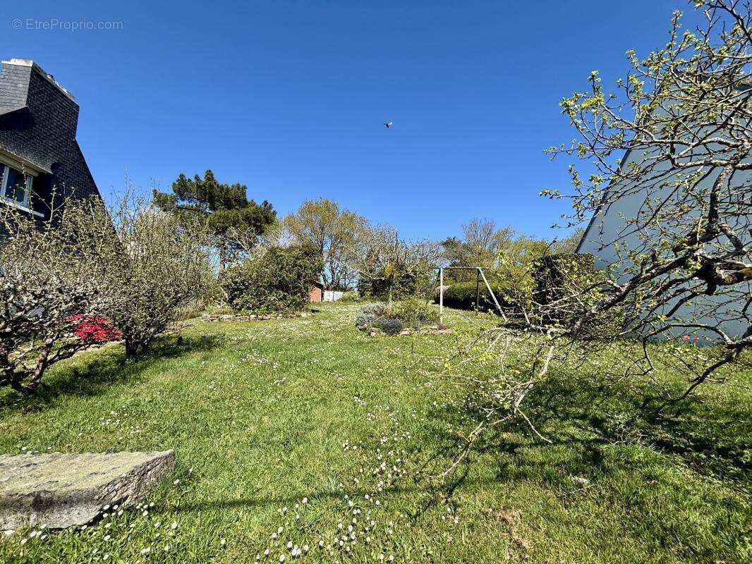 Terrain à SAINT-AVE