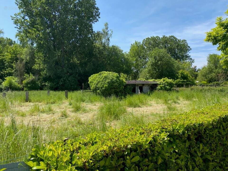 Terrain à RIEULAY