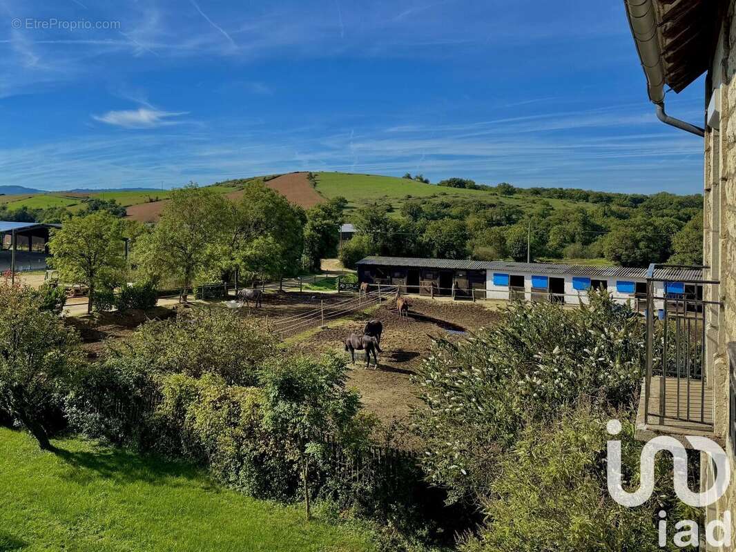 Photo 9 - Maison à CRUEJOULS