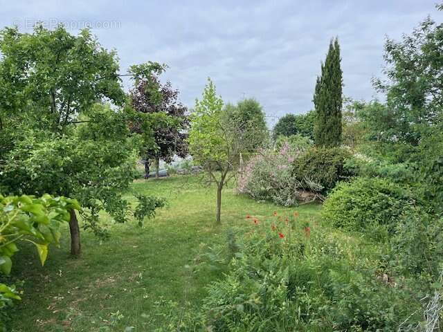 Terrain à VILDE-GUINGALAN