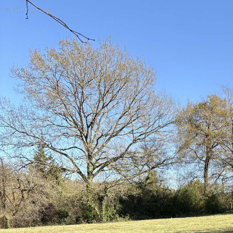 Terrain à LAA-MONDRANS