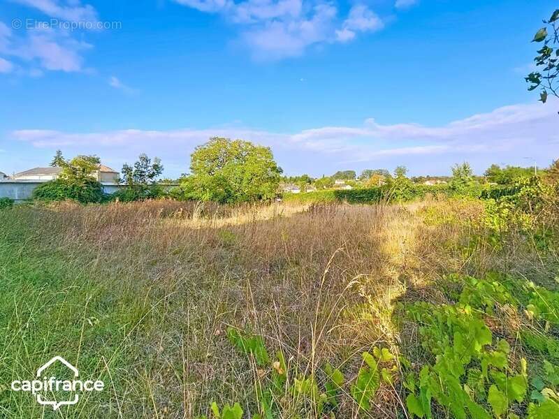 Maison à SAINTE-RADEGONDE