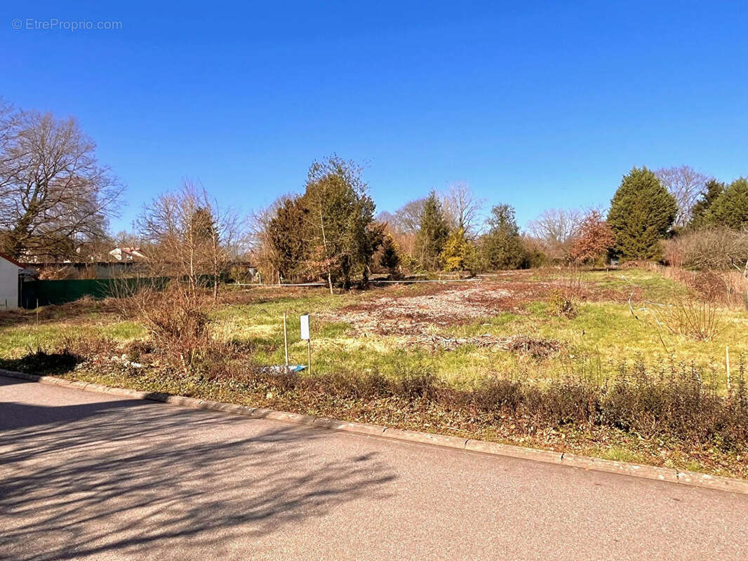 Terrain à LORRY-LES-METZ