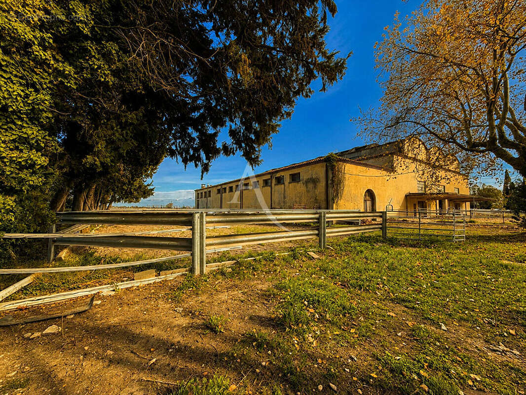 Domaine de Provence (Mas Arles) - photo 8