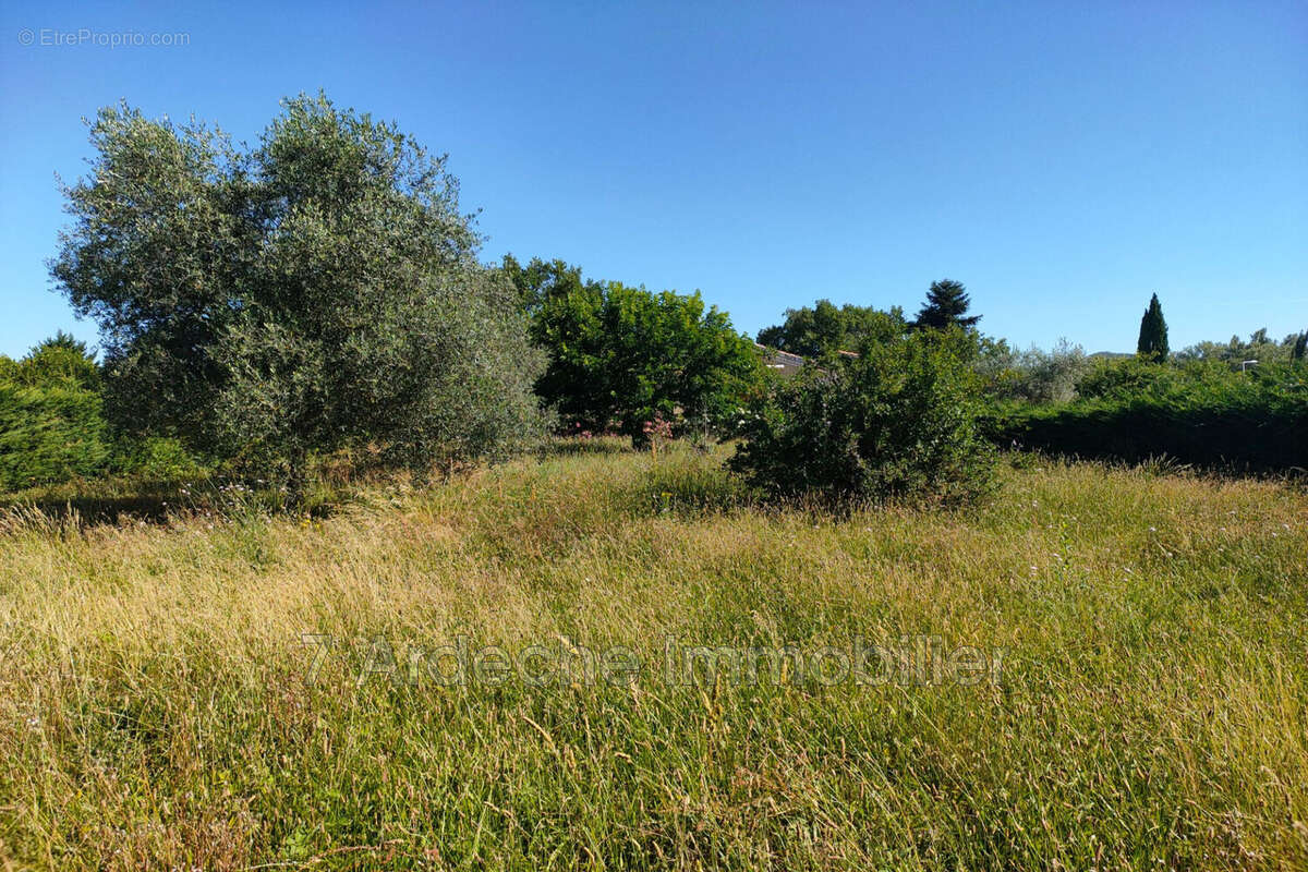 Terrain à LAVILLEDIEU