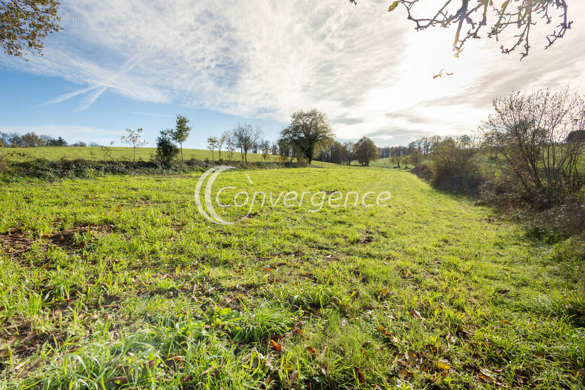 Terrain à SAINT-AUVENT