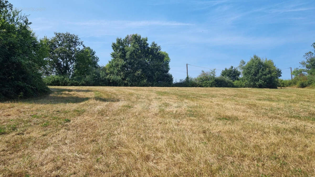 20240820_160800 - Terrain à NONTRON