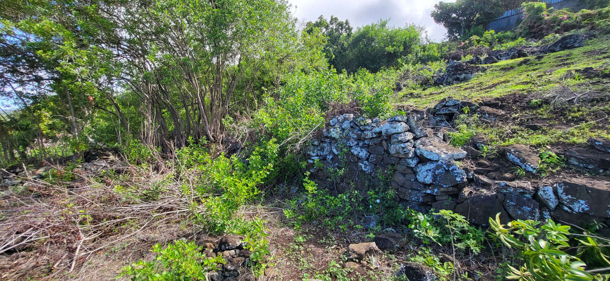Terrain à SAINT-LEU