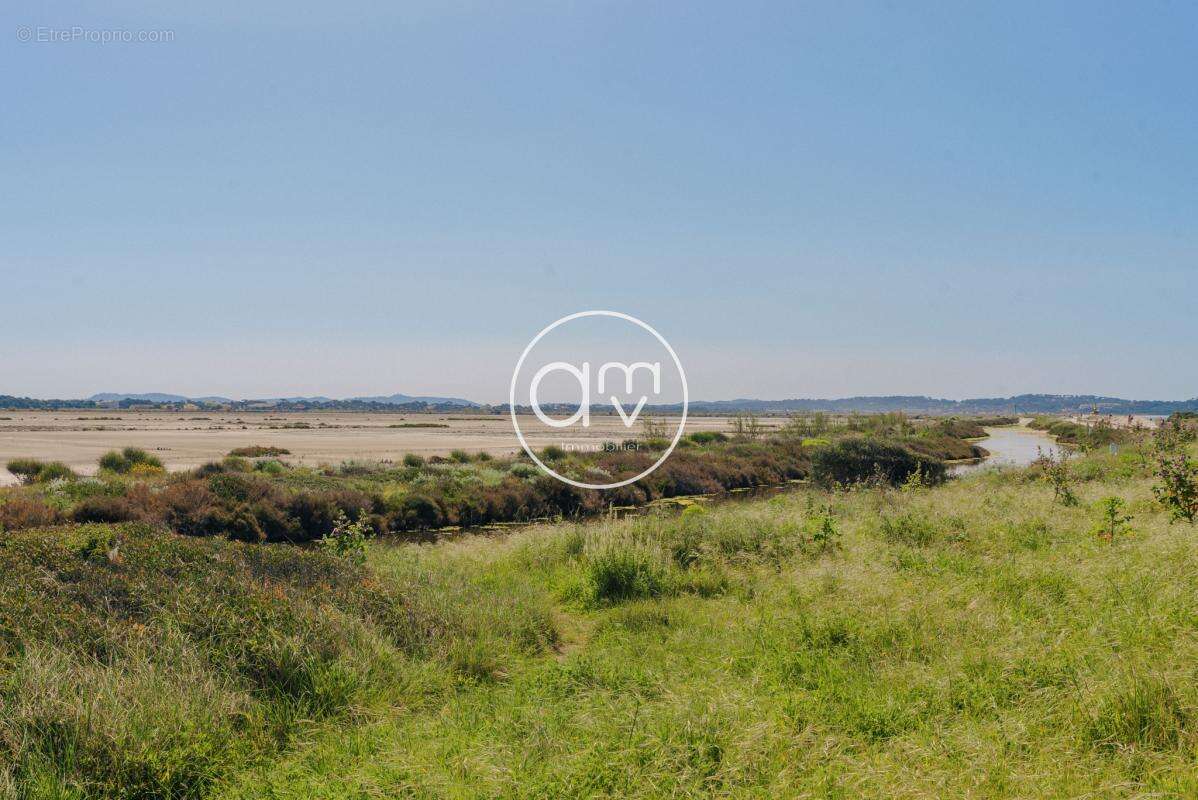 Hyeres - les pesquiers - villa  en pleine propriete - parcel - photo 19
