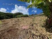 n°2 - Terrain à LE LORRAIN